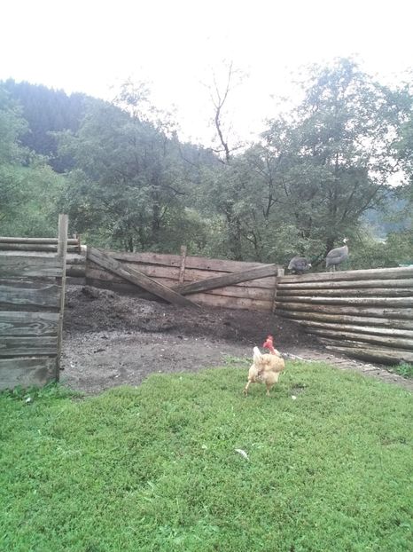  - F Gaini de tara si kabir