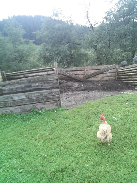  - F Gaini de tara si kabir