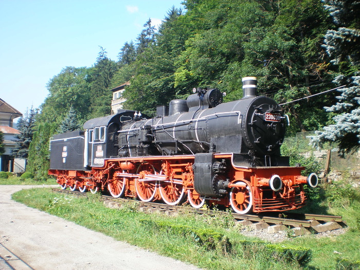 P1010009; Locomotiva de epoca in gara Sinaia, august 2009.
