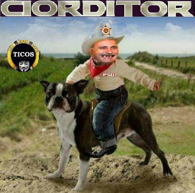  - Poze haioase pamflet