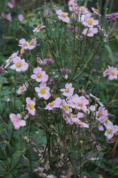  - Septembrie 2018