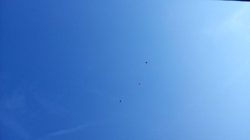  - antrenament de 3 ori pe saptamana
