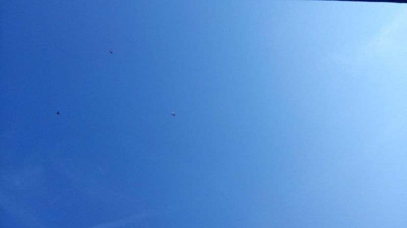  - antrenament de 3 ori pe saptamana