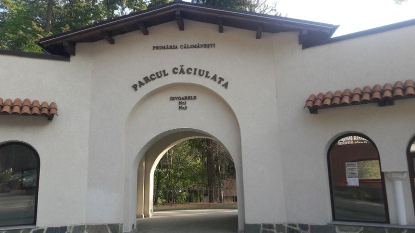  - Caciulata 2018