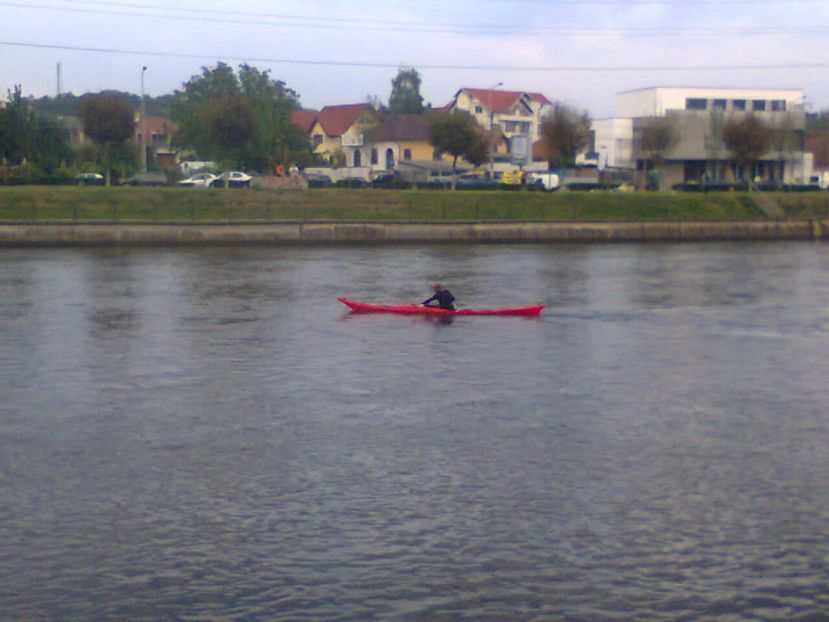 Fotografie4211 - 2018 FESTIVALUL BERII 8 sept