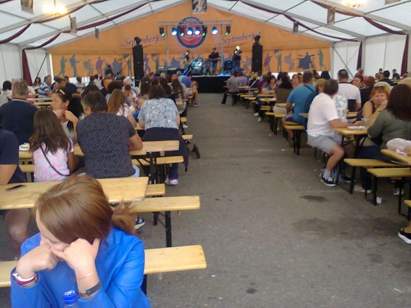 Fotografie4215 - 2018 FESTIVALUL BERII 8 sept