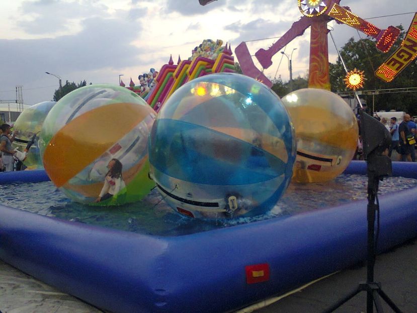 Fotografie4219 - 2018 FESTIVALUL BERII 8 sept