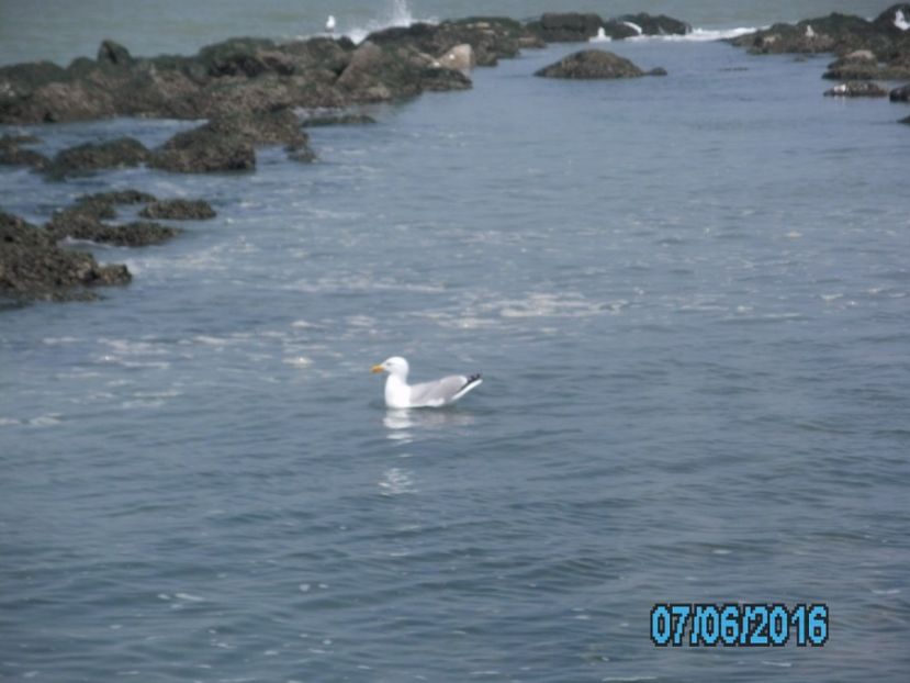 PICT0583 - Amintiri 2016