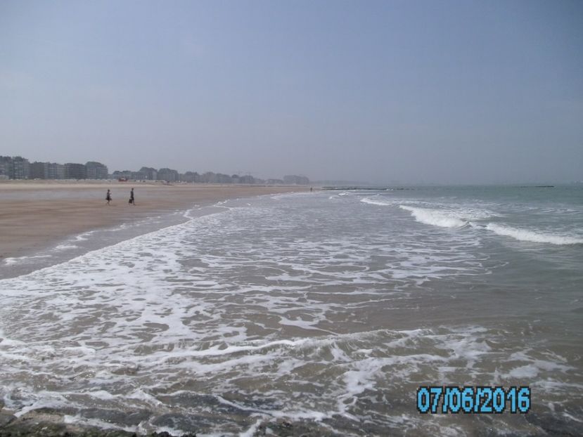 PICT0591 - Amintiri 2016