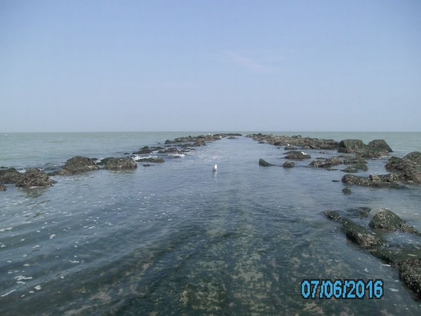 PICT0582 - 2016 Gent