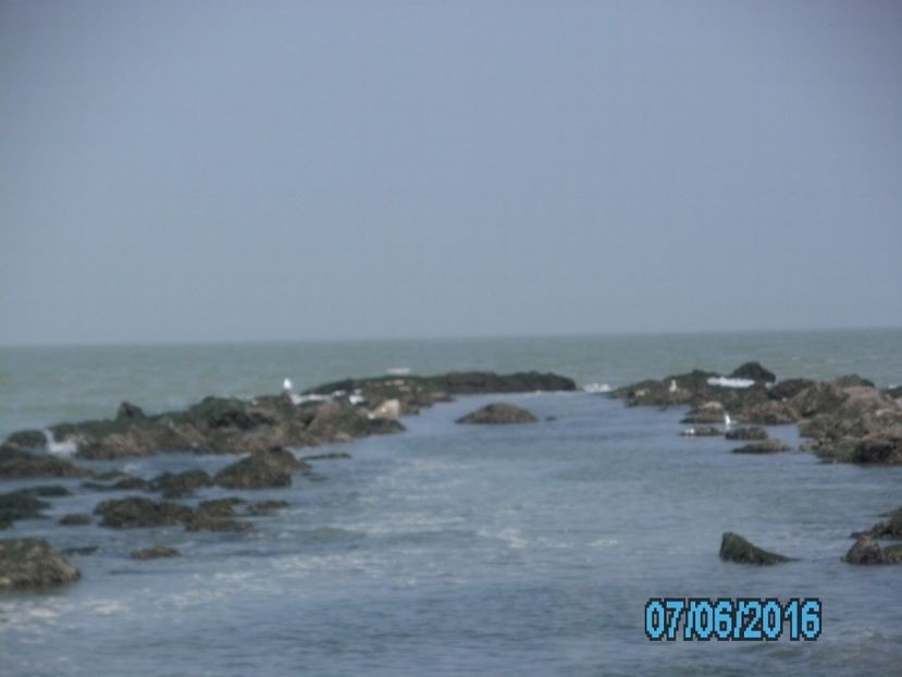 PICT0590 - 2016 Gent