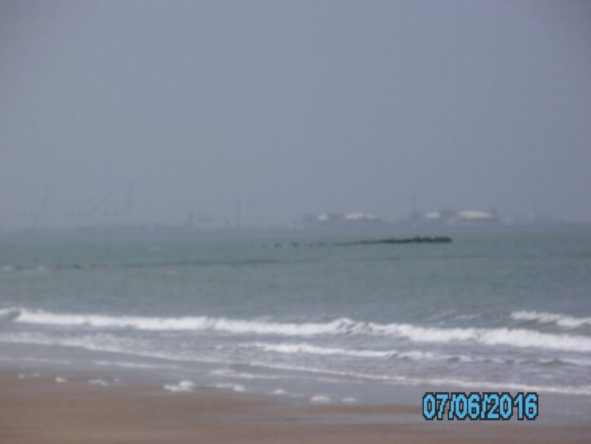 PICT0596 - 2016 Gent