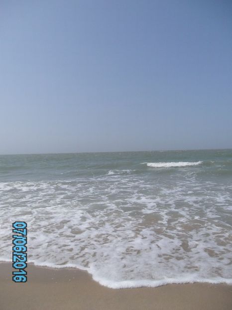 PICT0613 - 2016 Gent