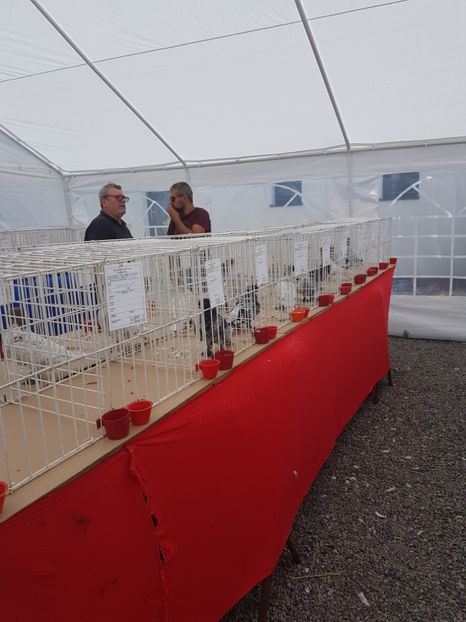  - Expoziția tineret Gherla 2018