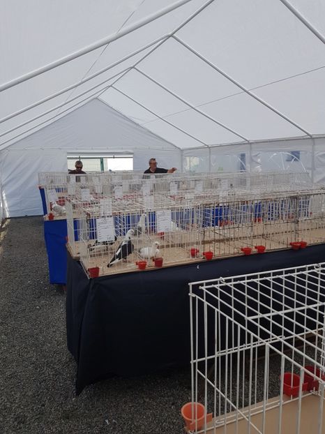  - Expoziția tineret Gherla 2018