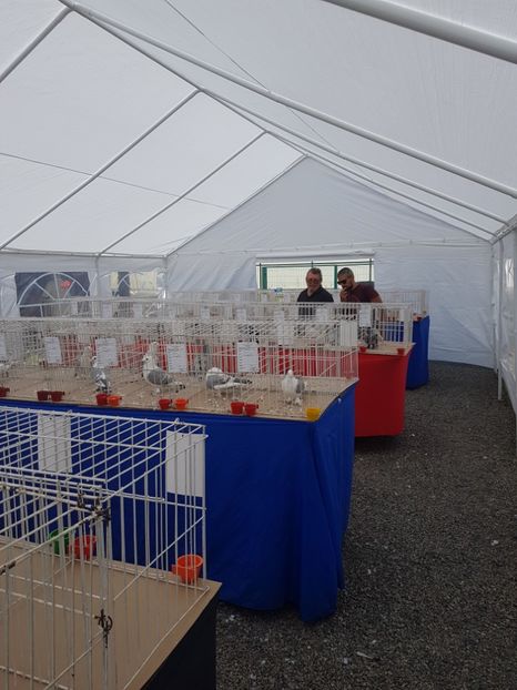  - Expoziția tineret Gherla 2018