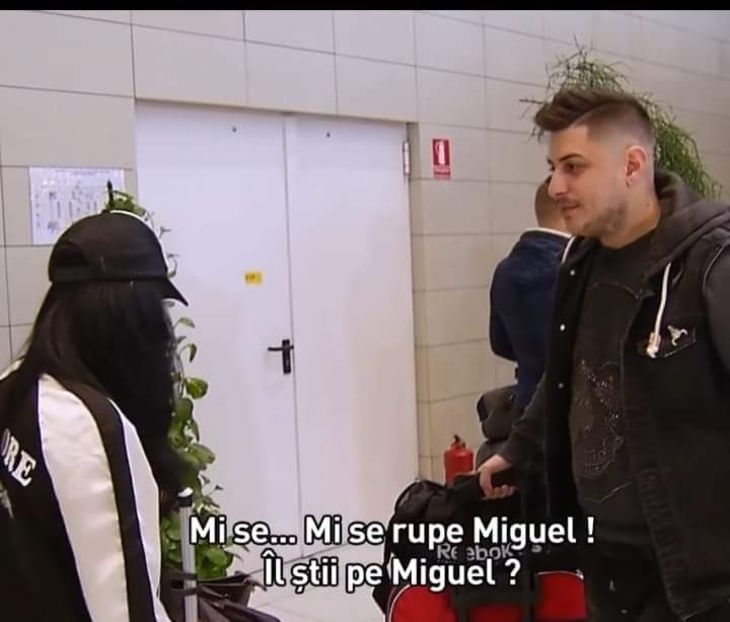  - Sezonul 4 insula iubirii - memes 1