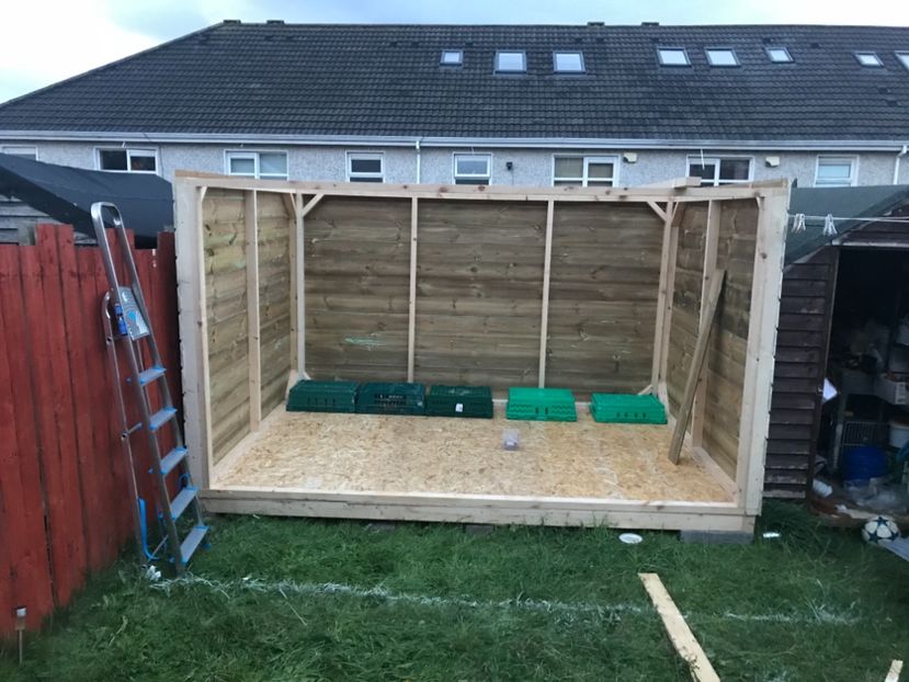 830151AF-ADA5-40E7-8701-6157A5D64E5C - Crescatoria din Irlanda