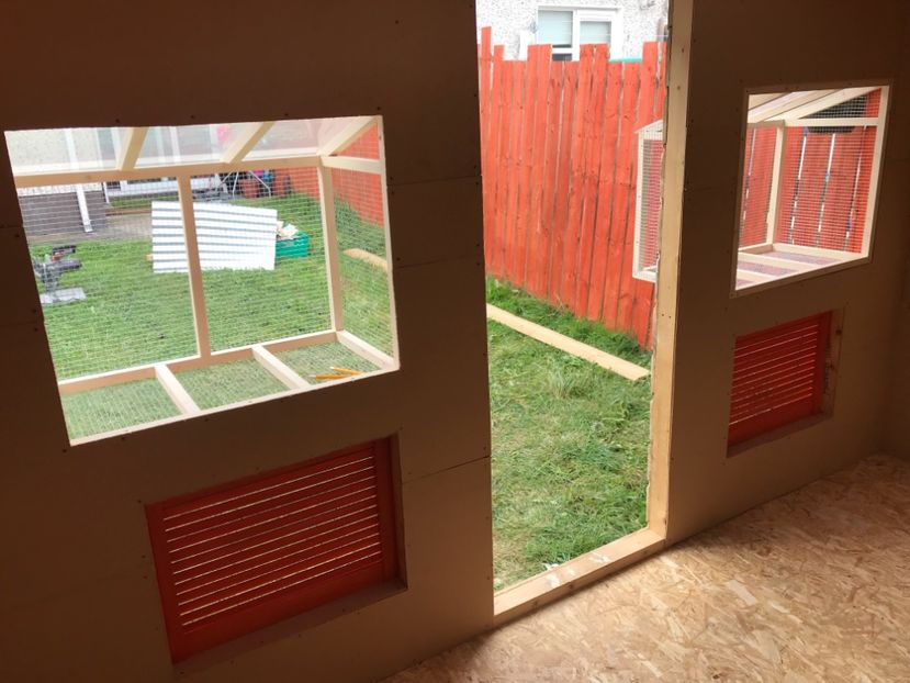 4883FBB3-E37E-4843-95AD-EBEEFCCA1D03 - Crescatoria din Irlanda