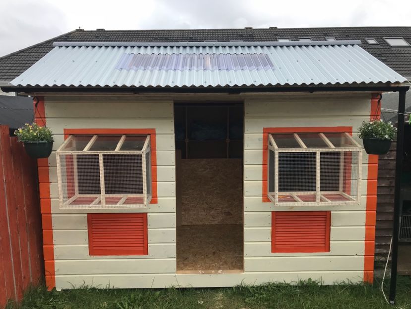 3861353E-7C1A-4C8F-BA91-A9755793ADF4 - Crescatoria din Irlanda