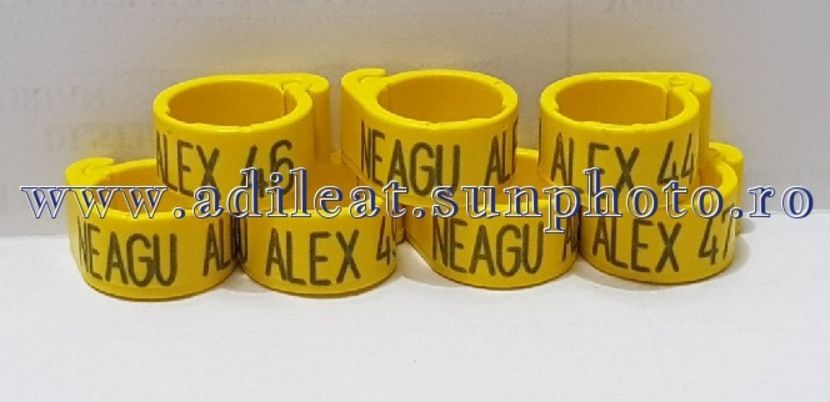 TextArt_180910195405 - Cleme personalizate new 2018