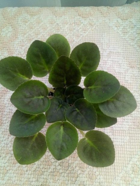 10 sept - ZZ Chanson