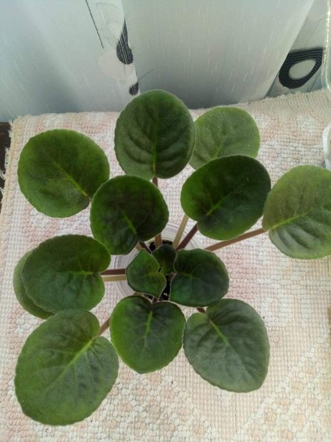 10 sept - Making Waves