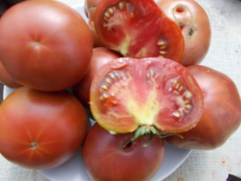 104190085_HTUMJTB - SEMINTE ROSII - NOIRE BLUE FRUIT