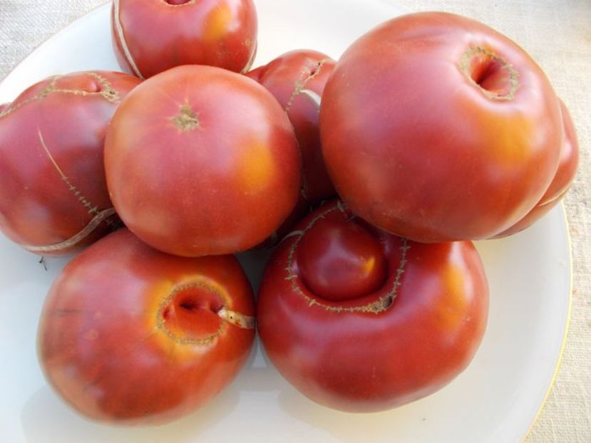 104266455_APVKNVL - SEMINTE ROSII - NOIRE BLUE FRUIT