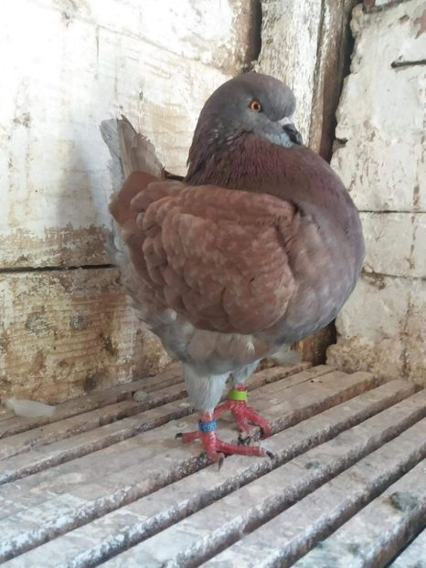 received_294708361260945 - Kingi