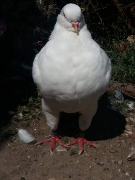 received_257044561803628 - Kingi