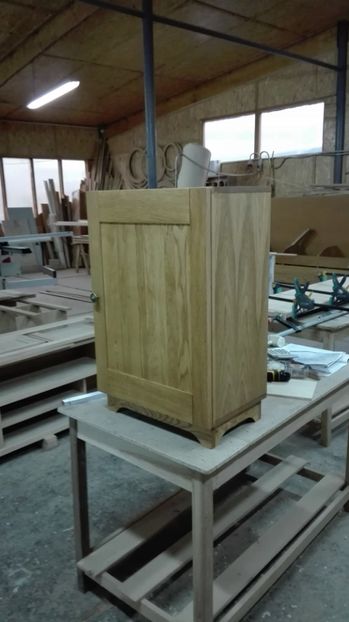  - LUCRARI FACUTE DE MINE SI DE TATAL MEU