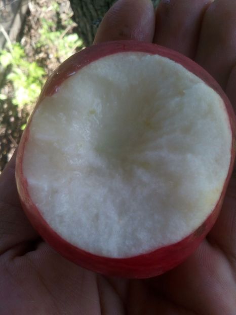 Miezul marului natural - CE PARERE AVETI?