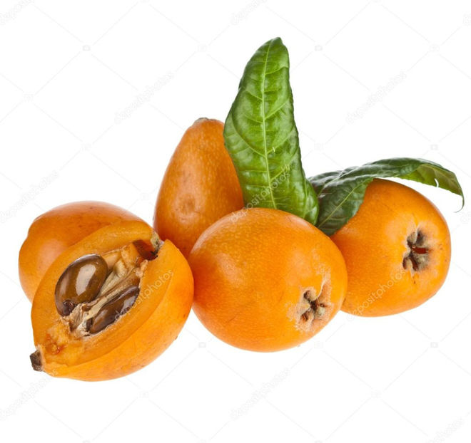 nespui0 - 3 Nespol - Loquat -Eriobotrya Japonica