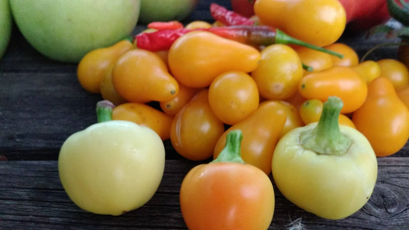  - !! Diverse din Bio Gradina familiei