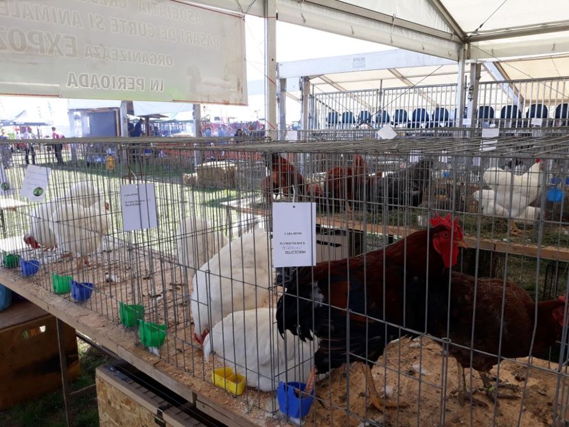  - Agromalim 2018