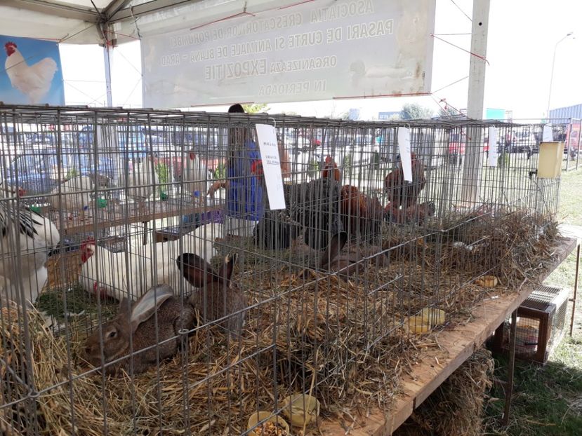  - Agromalim 2018