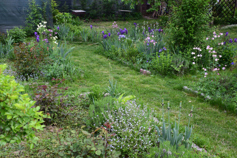  - 2018_Idilic garden iulie-oct