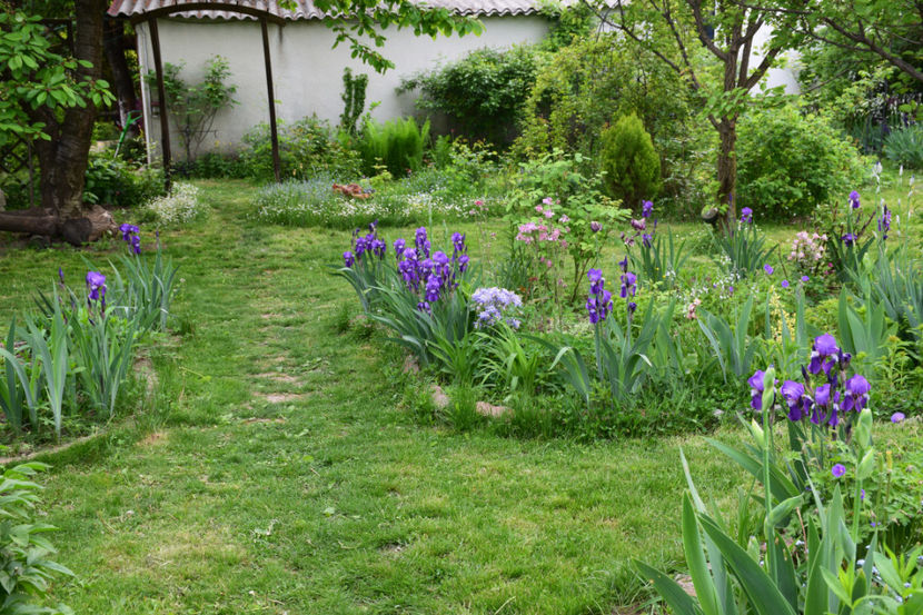  - 2018_Idilic garden iulie-oct