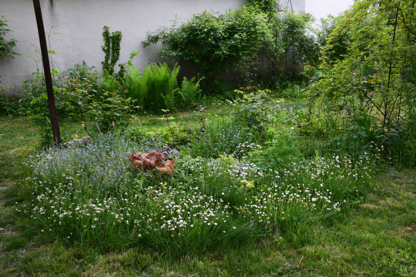  - 2018_Idilic garden iulie-oct