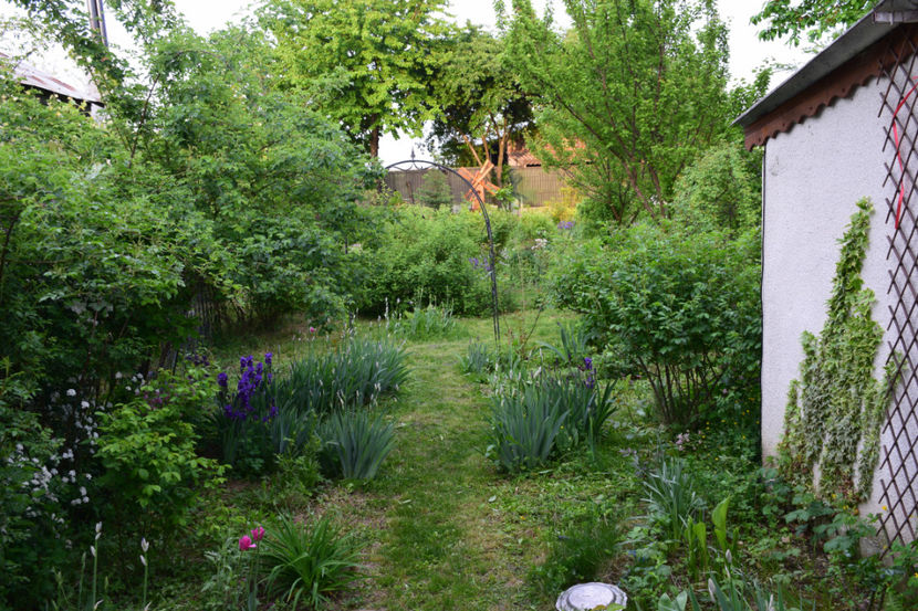  - 2018_Idilic garden iulie-oct