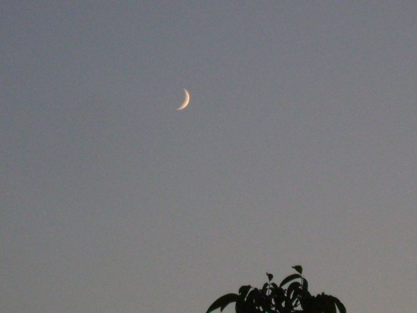 Luna in crestere in Scorpion - Luna - Soarele si norii - 1