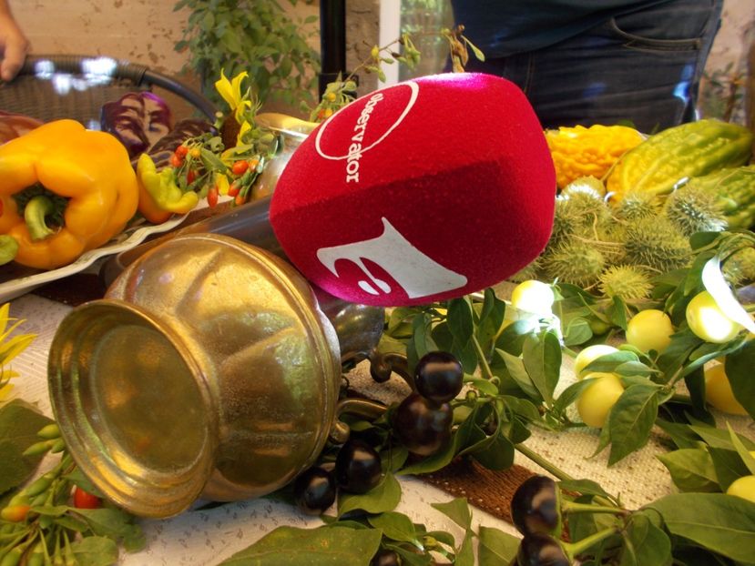  - Ag Aparitia noastra la Antena 1- Observator - 12 septembrie 2018