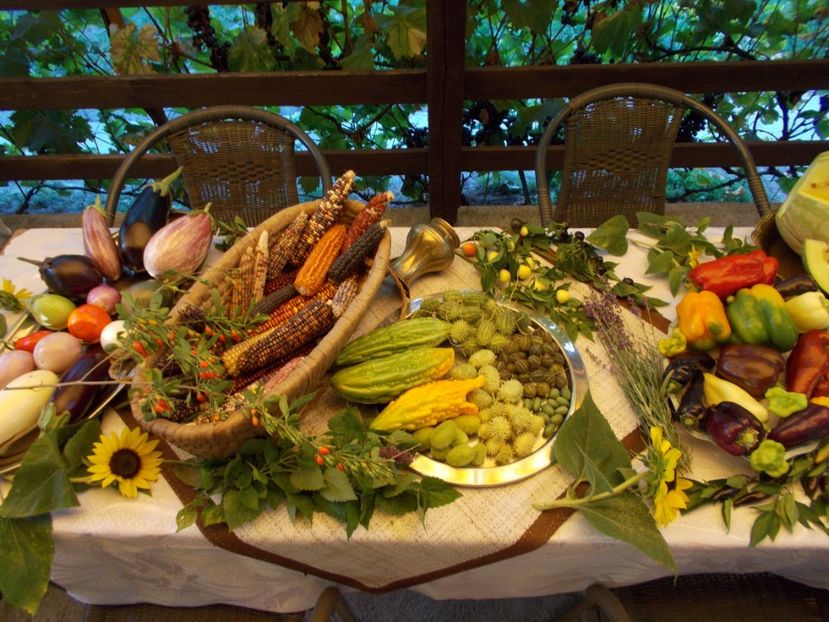  - Ag Aparitia noastra la Antena 1- Observator - 12 septembrie 2018