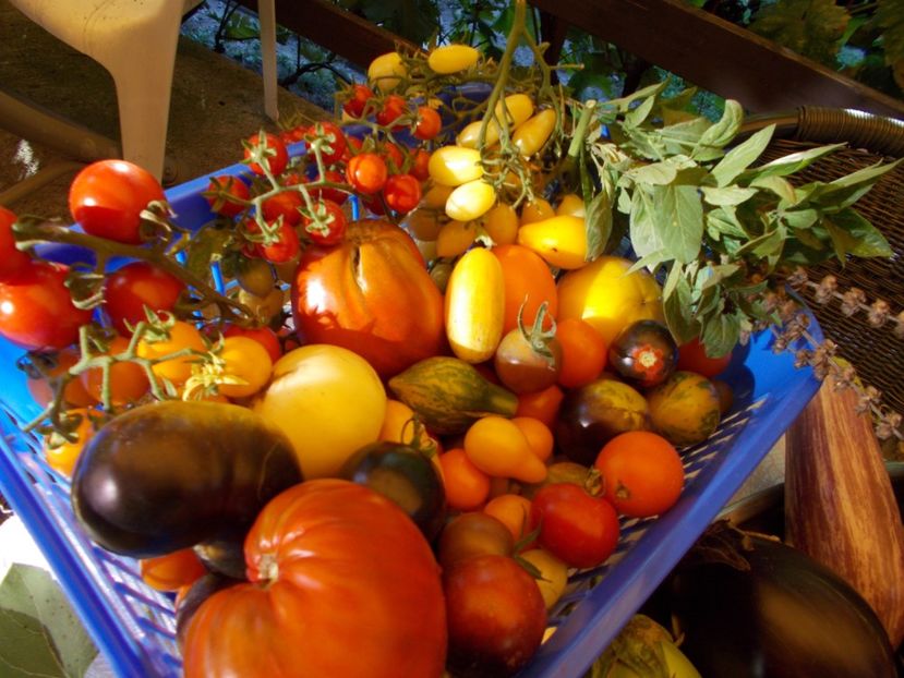  - Ag Aparitia noastra la Antena 1- Observator - 12 septembrie 2018