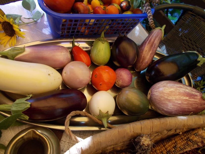  - Ag Aparitia noastra la Antena 1- Observator - 12 septembrie 2018