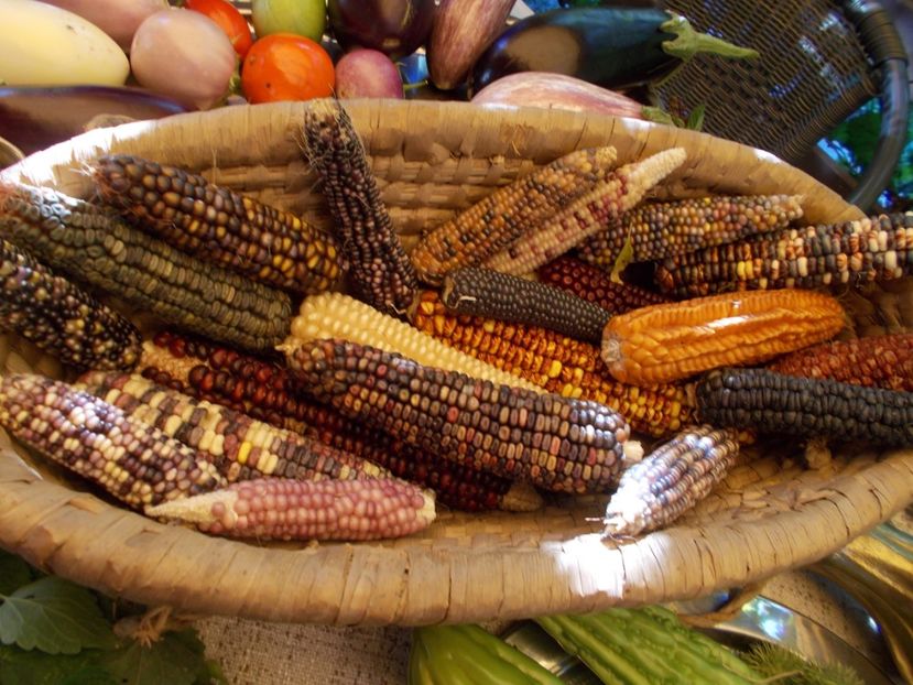  - Ag Aparitia noastra la Antena 1- Observator - 12 septembrie 2018