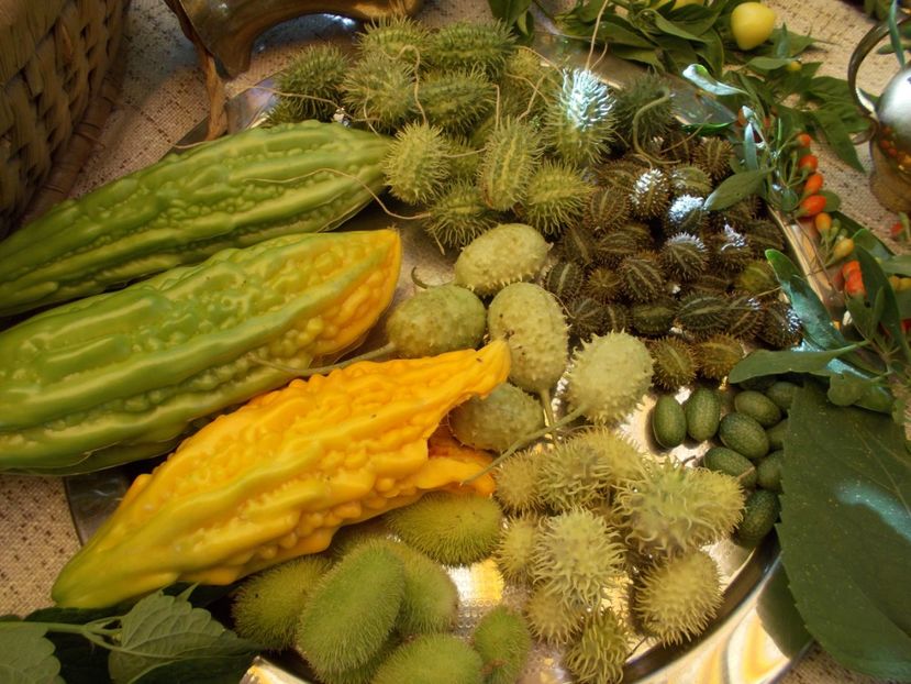  - Ag Aparitia noastra la Antena 1- Observator - 12 septembrie 2018