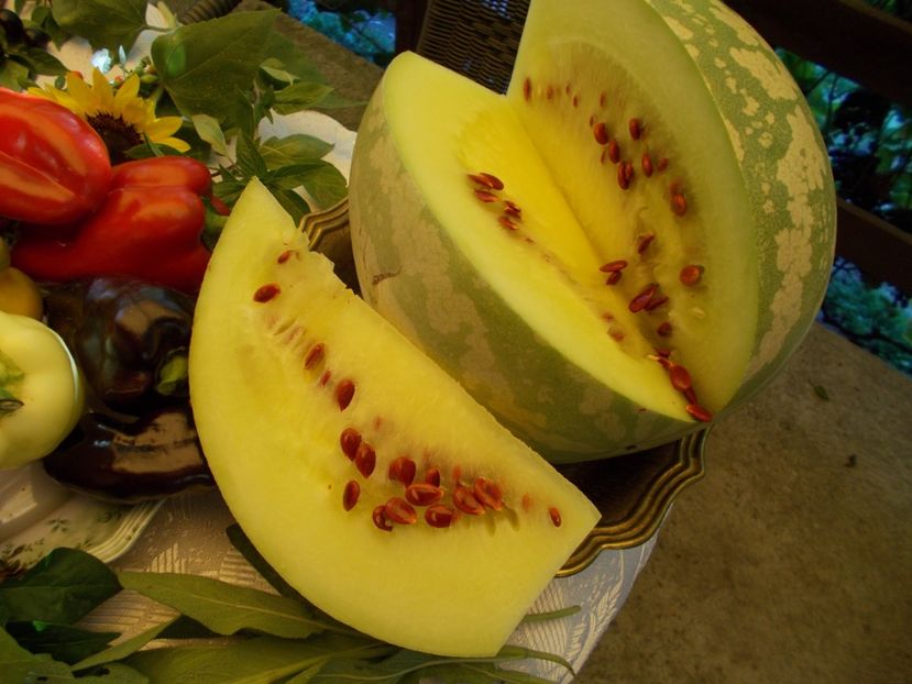  - Ag Aparitia noastra la Antena 1- Observator - 12 septembrie 2018