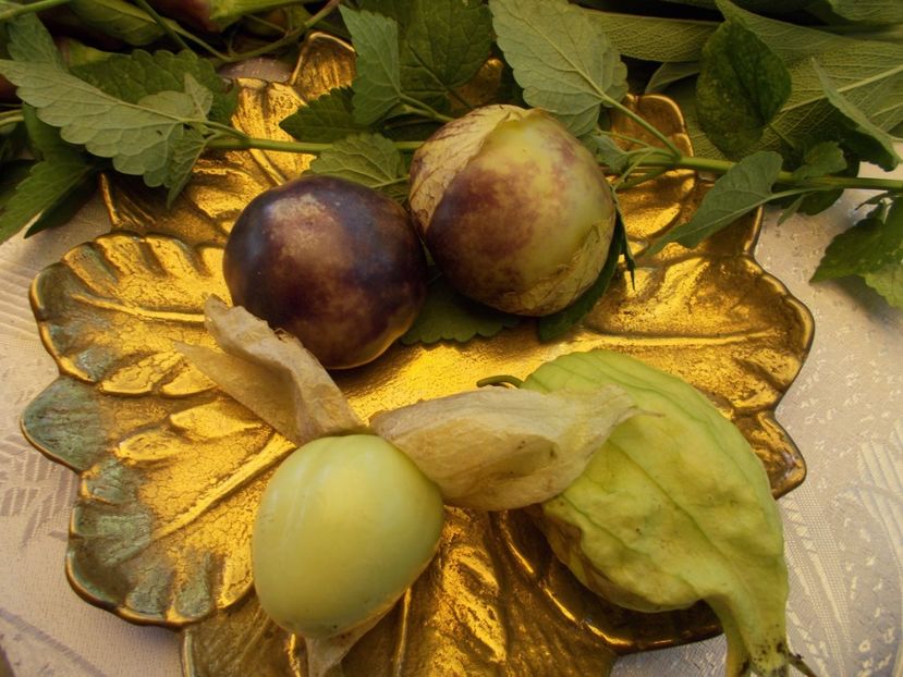  - Ag Aparitia noastra la Antena 1- Observator - 12 septembrie 2018